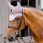 Kentucky Fly Rope Veil Wellington 3D Logo Light Pink thumbnail