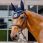 Kentucky Fly Rope Veil Wellington 3D Logo Navy thumbnail