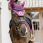 Kentucky Fly Rope Veil Wellington 3D Logo Purple thumbnail