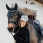 Kentucky Cap 3D Logo Blue Horse thumbnail