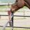 Kentucky Wooden Toy Unicorn-Joy Horse thumbnail