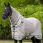 LeMieux Flyrug Arika Armour TeK Stone Horse thumbnail