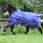 Bucas Freedom Navy Grape thumbnail
