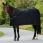Bucas Panel Prize Cooler Black