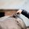 Wahl Clipper Eclipse Horse thumbnail
