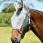 Weatherbeeta Fly Mask ComFiTec Hexi Shield Dual-grey-Cob