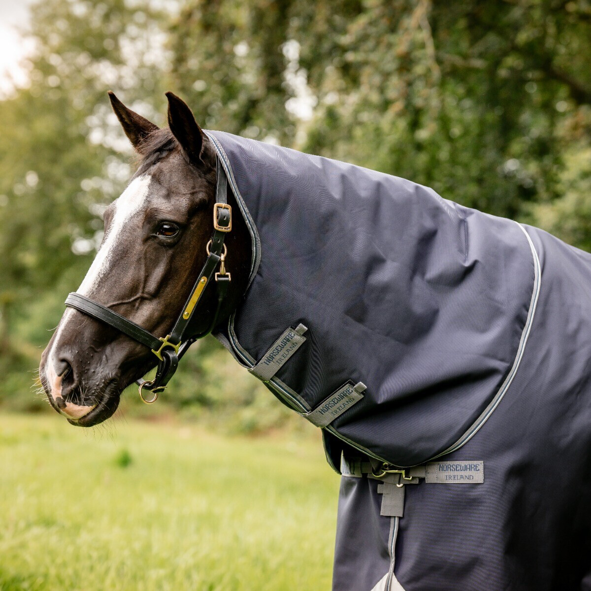Horseware Rambo Optimo Liner 100g - noir