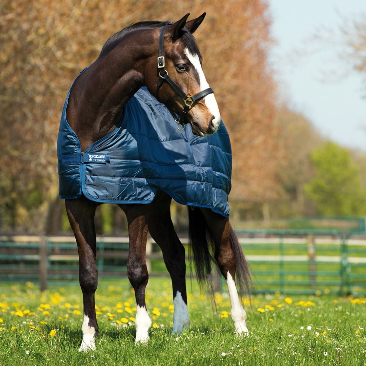 Couverture Horseware Rambo Vari Layer | GmbH