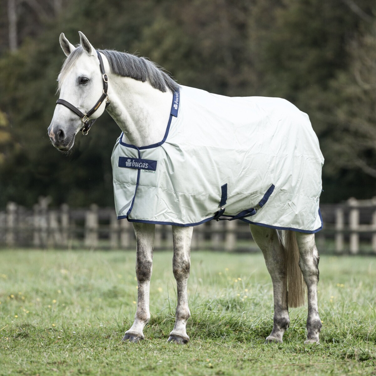 Millau couverture cheval bleu foncé (80% laine