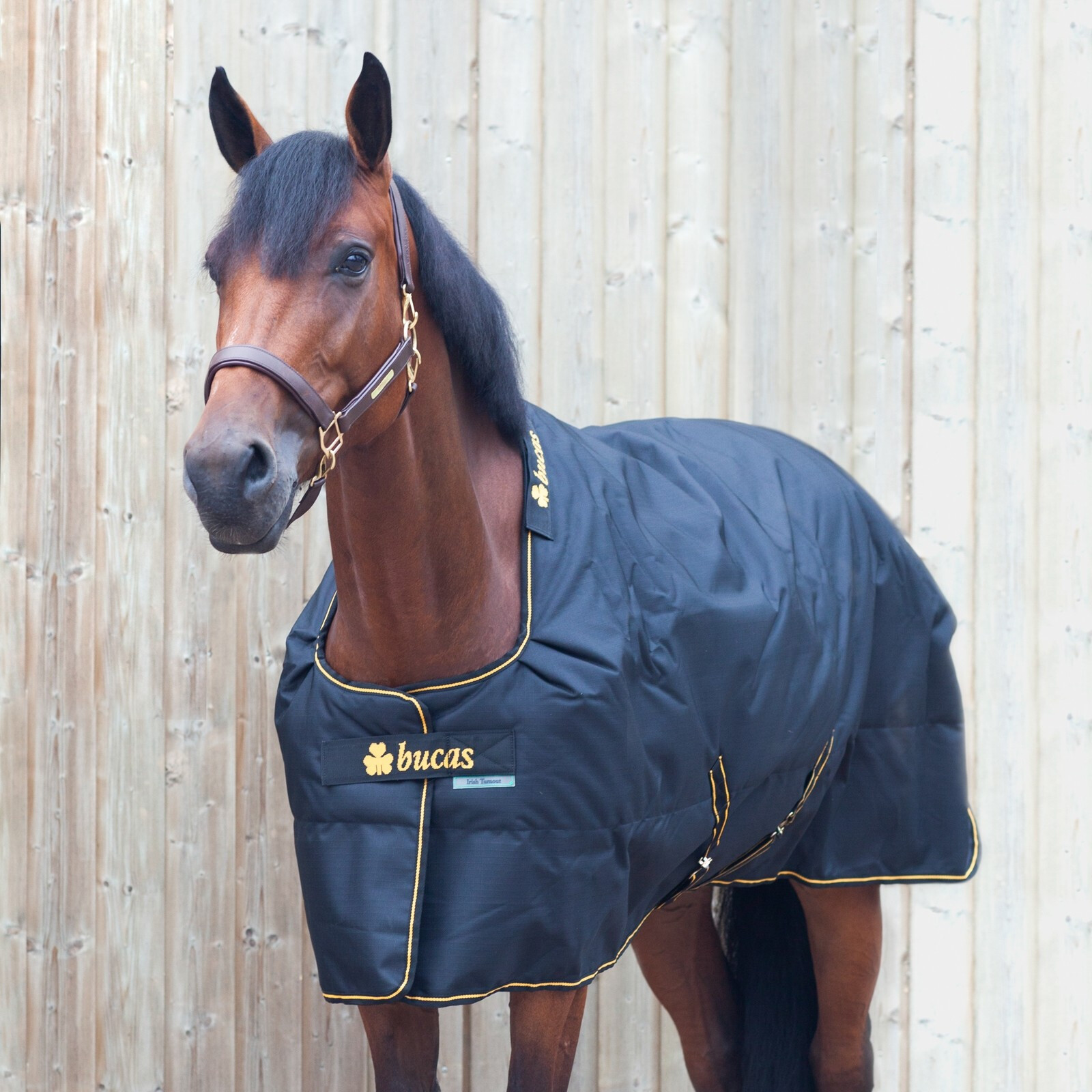Drap De Pluie Bucas Pour Poney – Taille Poney – Bleu – Léger Et Imperméable