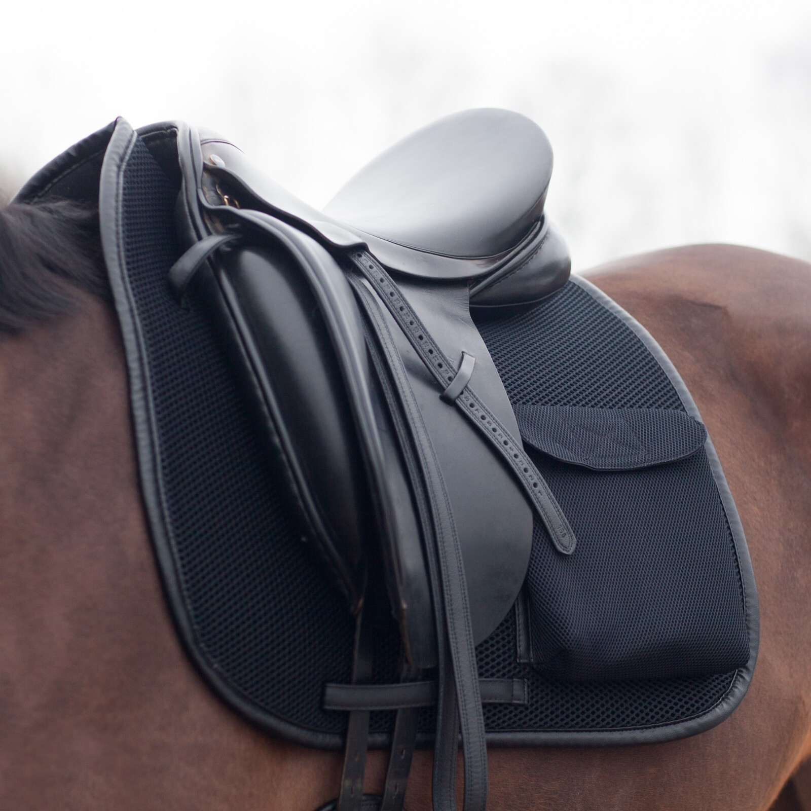 Tapis de selle Riding World Rope Mixte - 204535