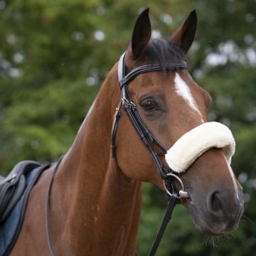 Equitheme Noseband Cover Teddy