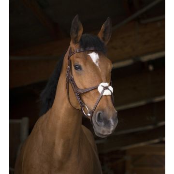 Norton Hoofdstel Mexicaans