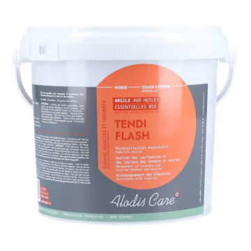 Tendi Flash Alodis 