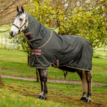 Amigo Horseware Hero regendeken print