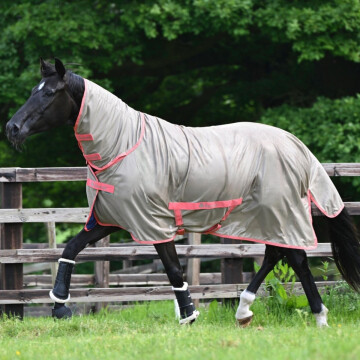 Bucas Freedom Fly Rug