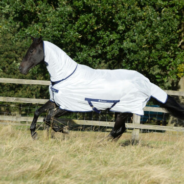 Bucas Freedom Fly Rug