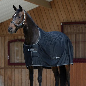 Bucas Shamrock Power Black