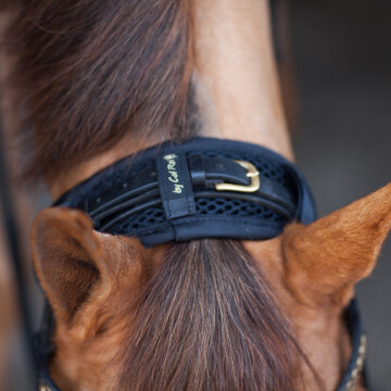 Protège-tête/muserolle Cal Rei