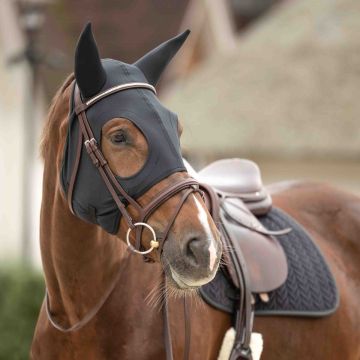 Masque Titanium avec Oreilles Lami-Cell