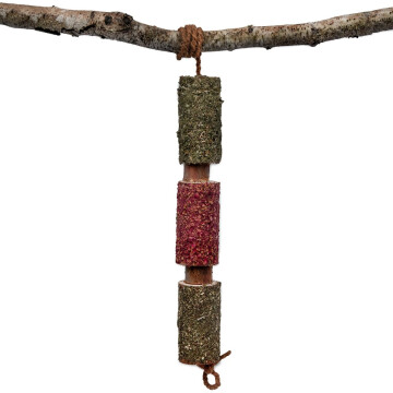 Candy Horse Wooden Toy Immuno