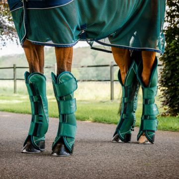 Guêtres de transport Horseware Signature 