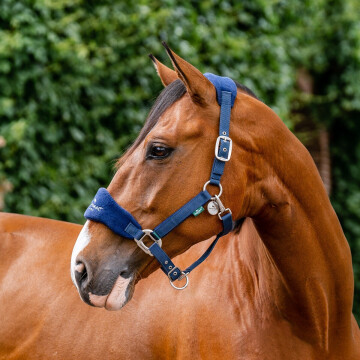Licol Horseware Signature
