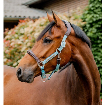 Horseware Signature Competition Headcollar Brown / Blue Haze 