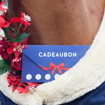 Bon-cadeau dochorse