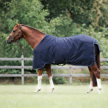 Couverture de Paddock 0 g Dominick 2023