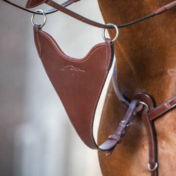 Fourchette de martingale Plaine (New English) Dy’on