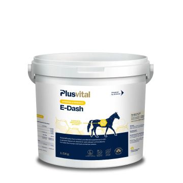 Plusvital E-Dash