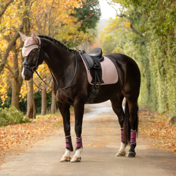 Lemieux Essence Eurojump Square Damson