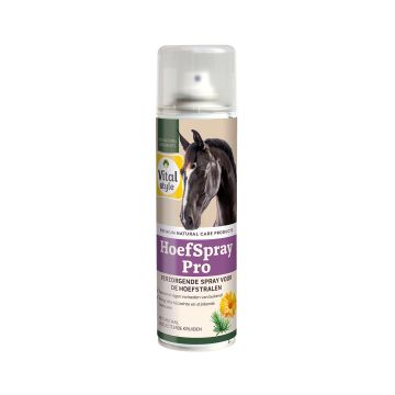 Spray Pro pour sabots VITALstyle 120ML