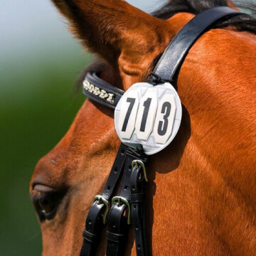 Porte Numéro Têtière Equithème 