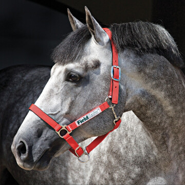 Horseware fieldsafe licol