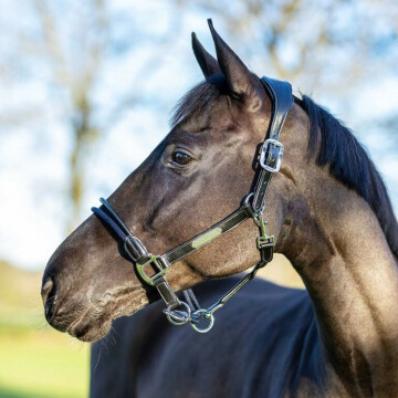 Licol LeMieux Rope Control Noir