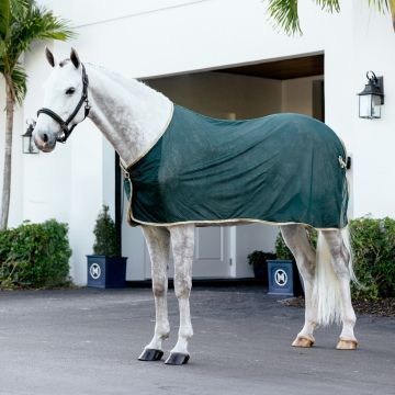 Lemieux Scrim Rug Green