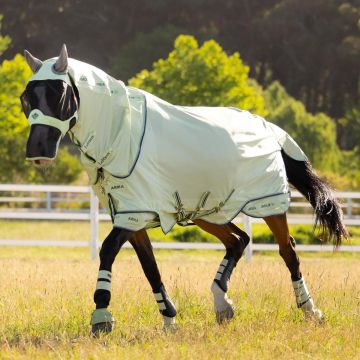 LeMieux Flyrug Arika Armour Tek Aqua