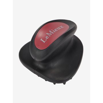 Brosse de Massage LeMieux