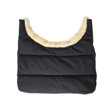 Kentucky Bib winter