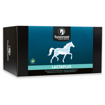 Synovium Lactaplus
