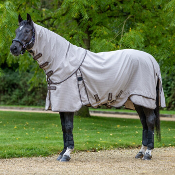 Lemieux Field Rug