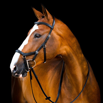 Bridon Horseware Micklem 2 Deluxe Competition