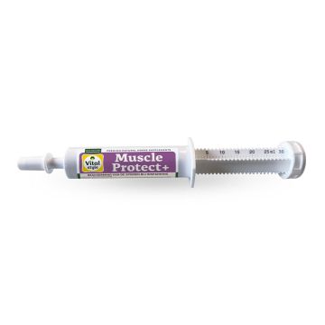 Seringue Protection des Muscles VitalStyle MuscleProtect 