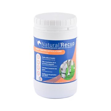 Natural Innov Natural Recup 1.2KG