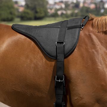 Norton Tapis de monte à cru silicone