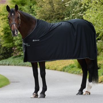 Bucas Panel Prize Cooler Black