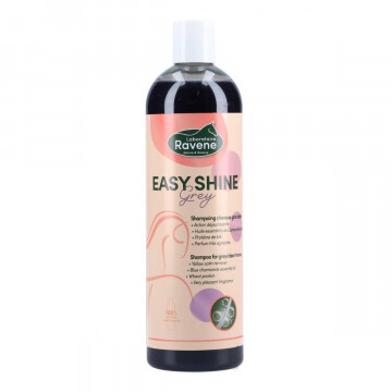 Ravene Easy Shine Shampooing Grey