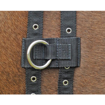 Anneau pour enrênements Busse 